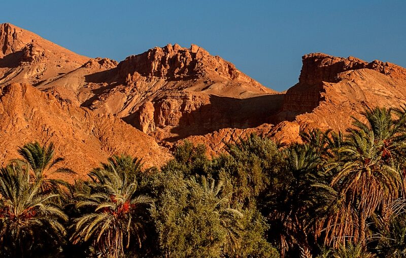 tunez en semana santa