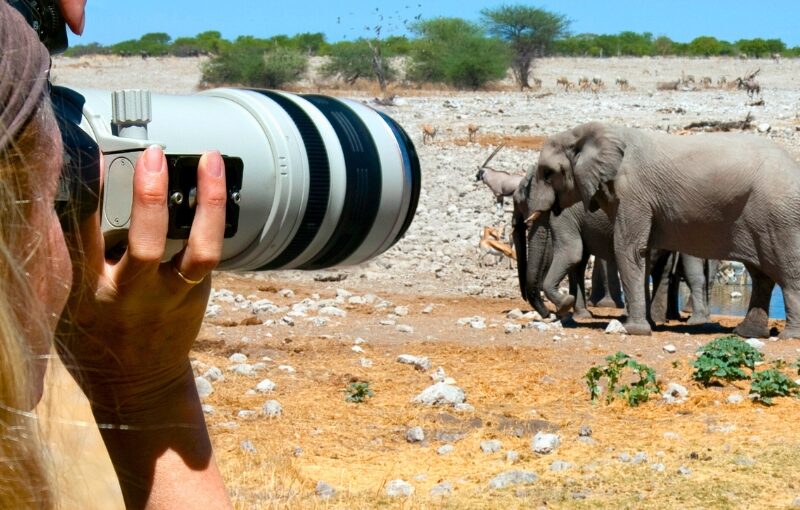 especial Sudáfrica single