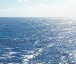 Crucero Single Julio