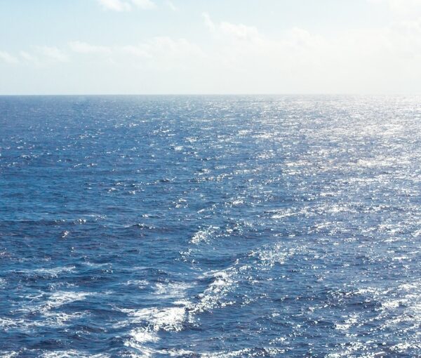 Crucero Single Julio