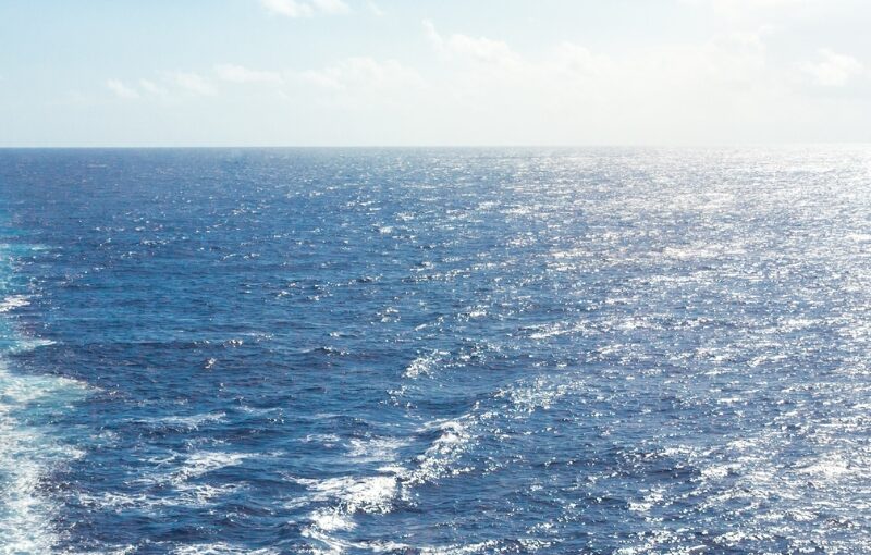 Crucero Single Julio