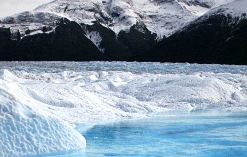 argentina en grupo single