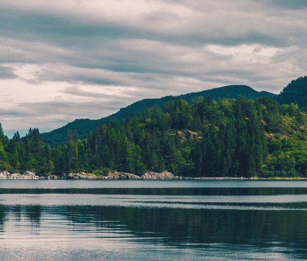 fiordos en grupo single