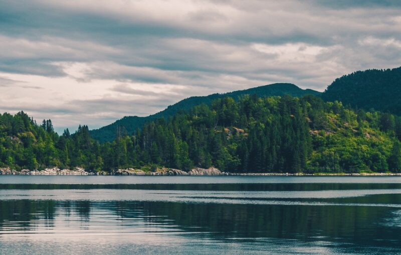 fiordos en grupo single