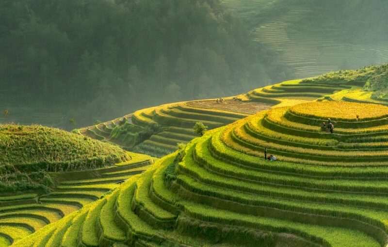 viaje a vietnam y camboya en grupo en mayo