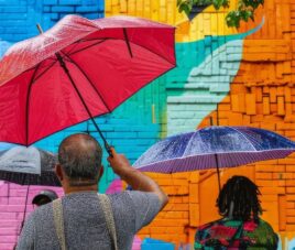 viaje single colombia