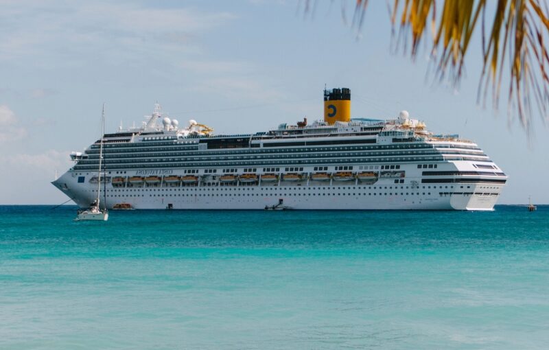 crucero single noviembre