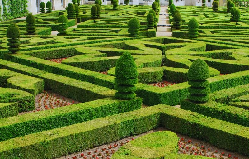 viaje en grupo a loira