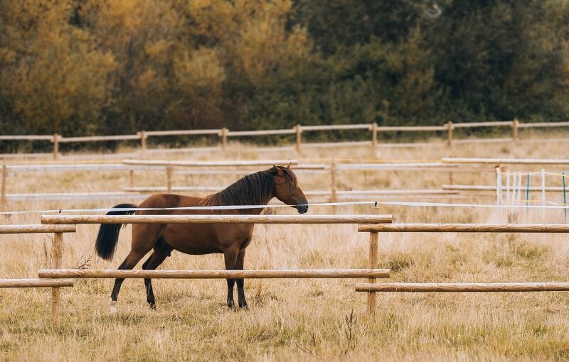 masia el molinete en mayo monoparental
