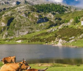 viajes a asturias en grupo