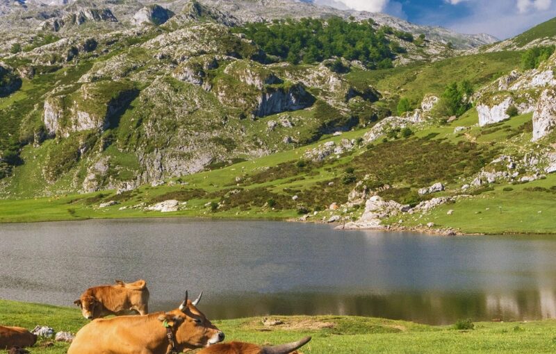 viajes a asturias en grupo