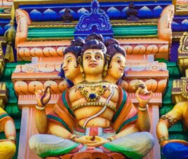 viaje grupo single sri lanka