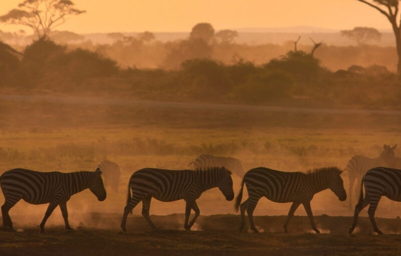 sudafrica octubre grupo mixto