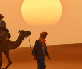 Camellos en Marruecos