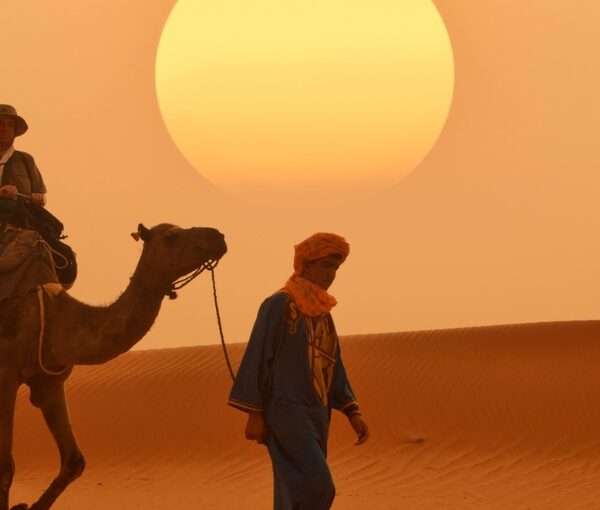 Camellos en Marruecos
